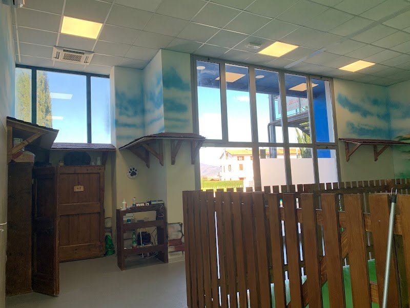 Parla coi Lupi - Foto 1