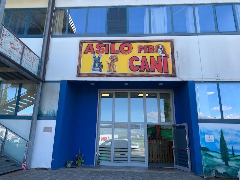 Parla coi Lupi - Foto 2