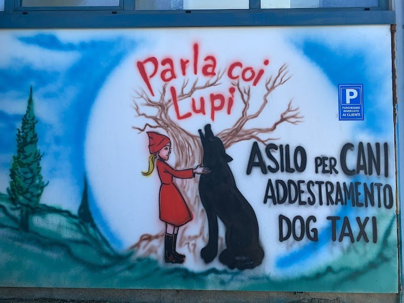 Parla coi Lupi - Foto 3