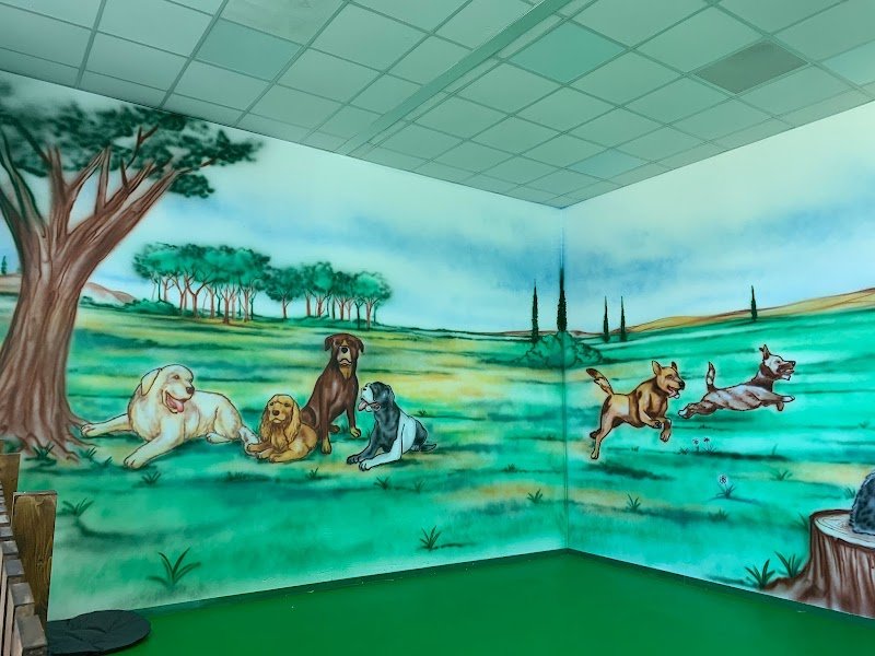 Parla coi Lupi - Foto 4