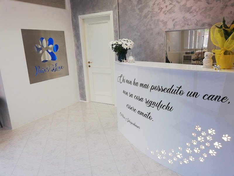 Paws and Love Toeletta Cani & Gatti - Foto 1