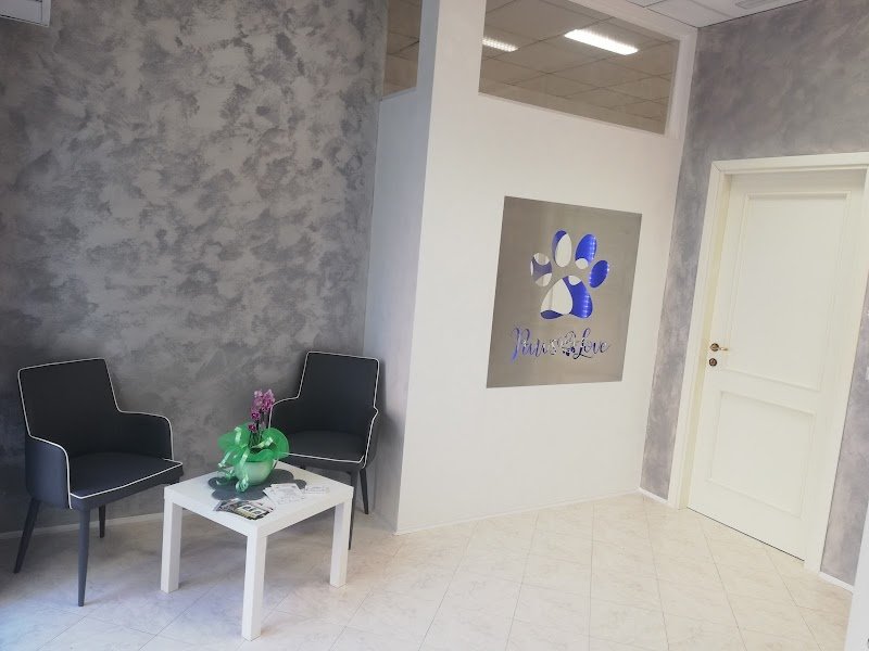 Paws and Love Toeletta Cani & Gatti - Foto 3