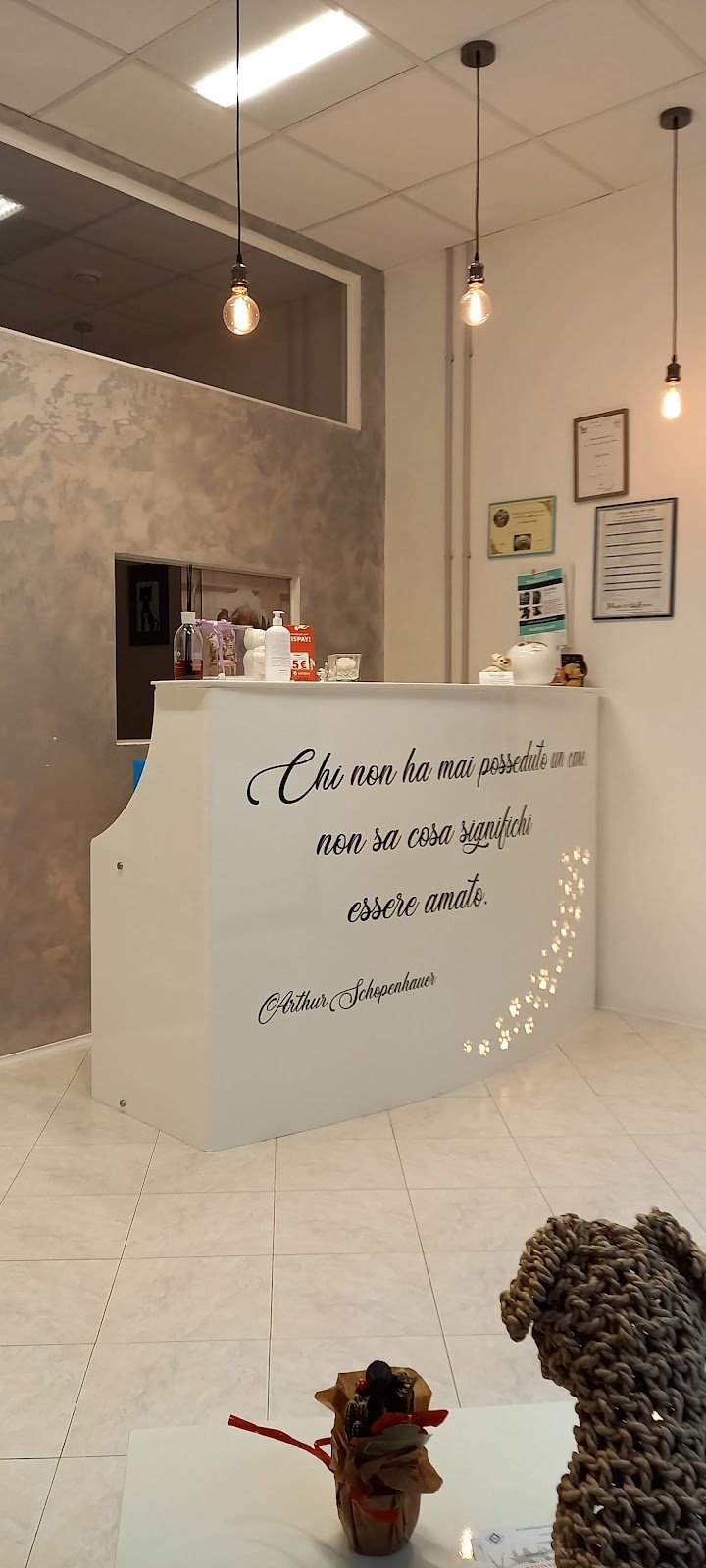 Paws and Love Toeletta Cani & Gatti - Foto 5