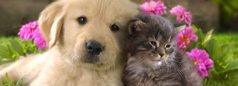 Pelo Contro Pelo - La Ciotola Di Tofful AnnaRita - Foto 1