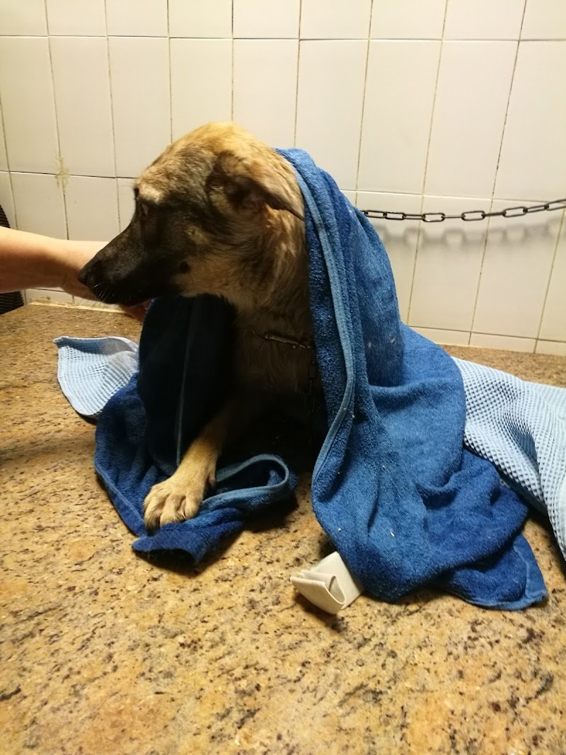 Pelo Contro Pelo - La Ciotola Di Tofful AnnaRita - Foto 6