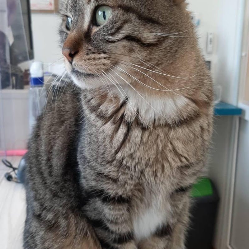 Pelo e Contropelo - Foto 3