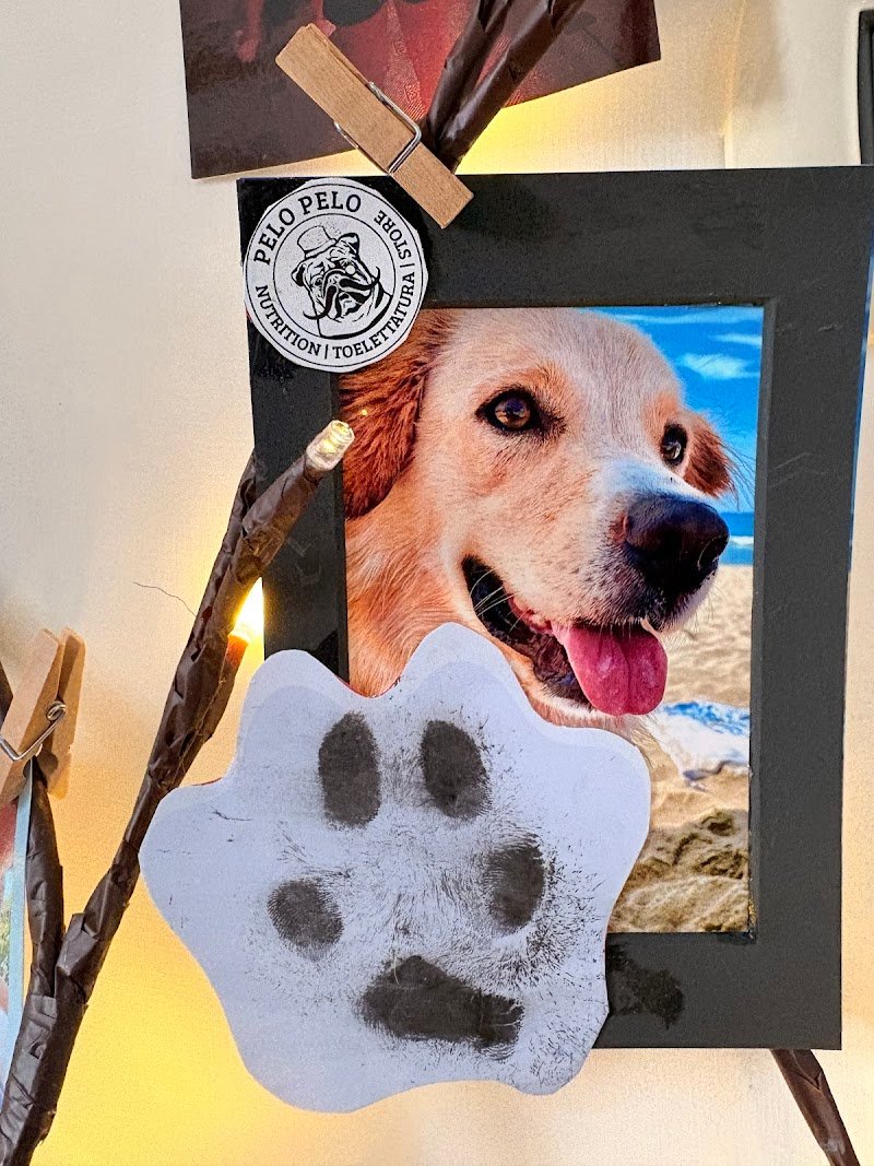 Pelo Pelo - Nutrition | Toelettatura | Store - Foto 4