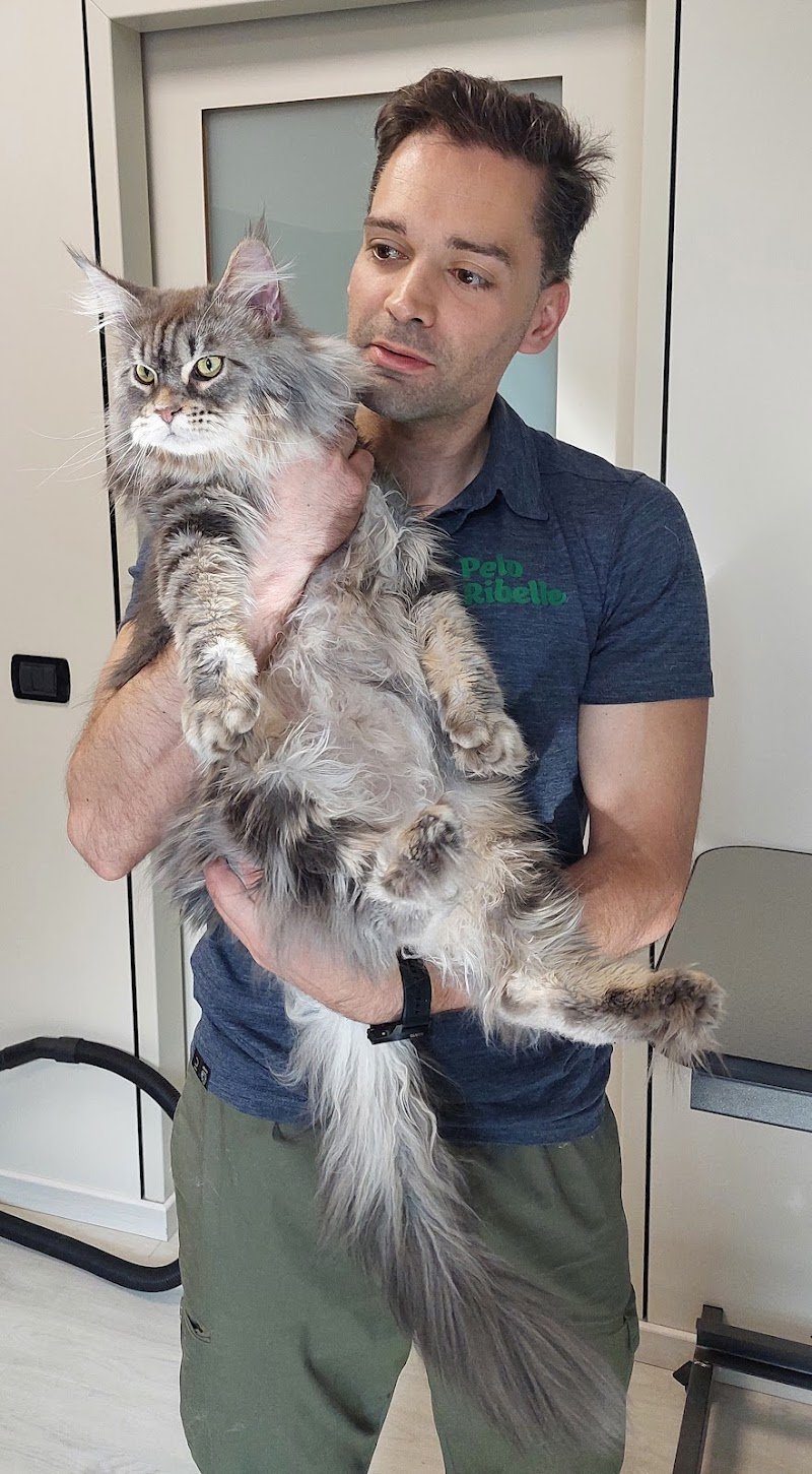 Pelo Ribelle Toelettatura - Foto 5