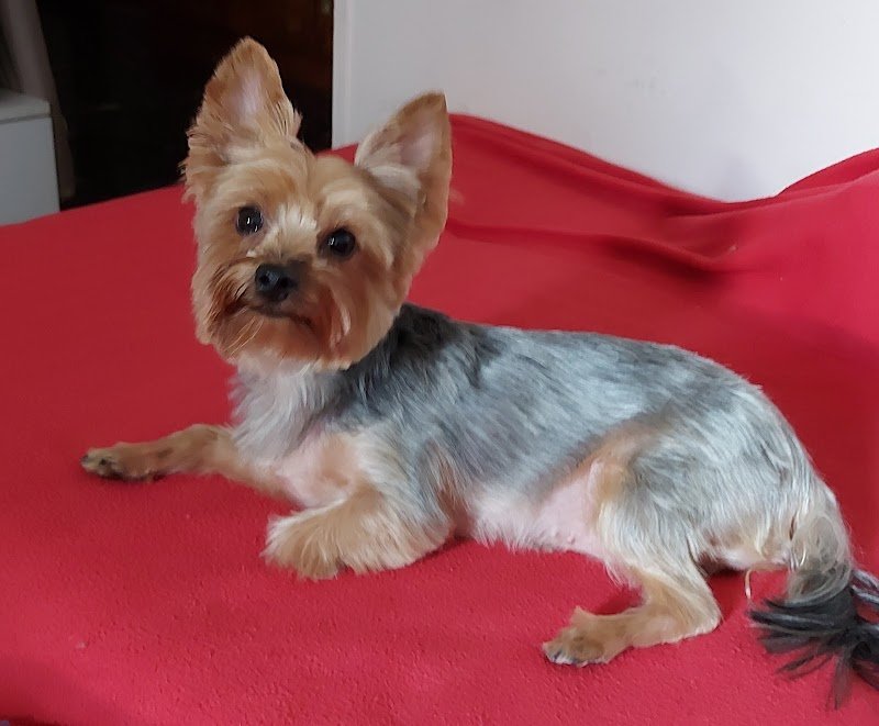 Pelomagia 2 di Toffali Emanuela - Foto 1