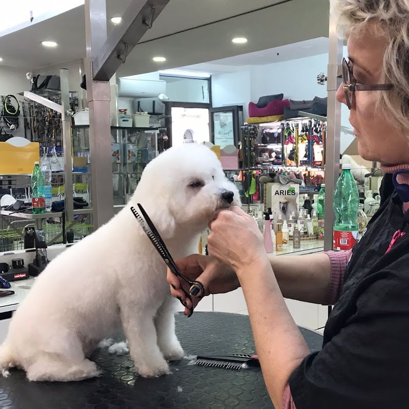 Pelomagia di Patrizia Morra - Foto 1