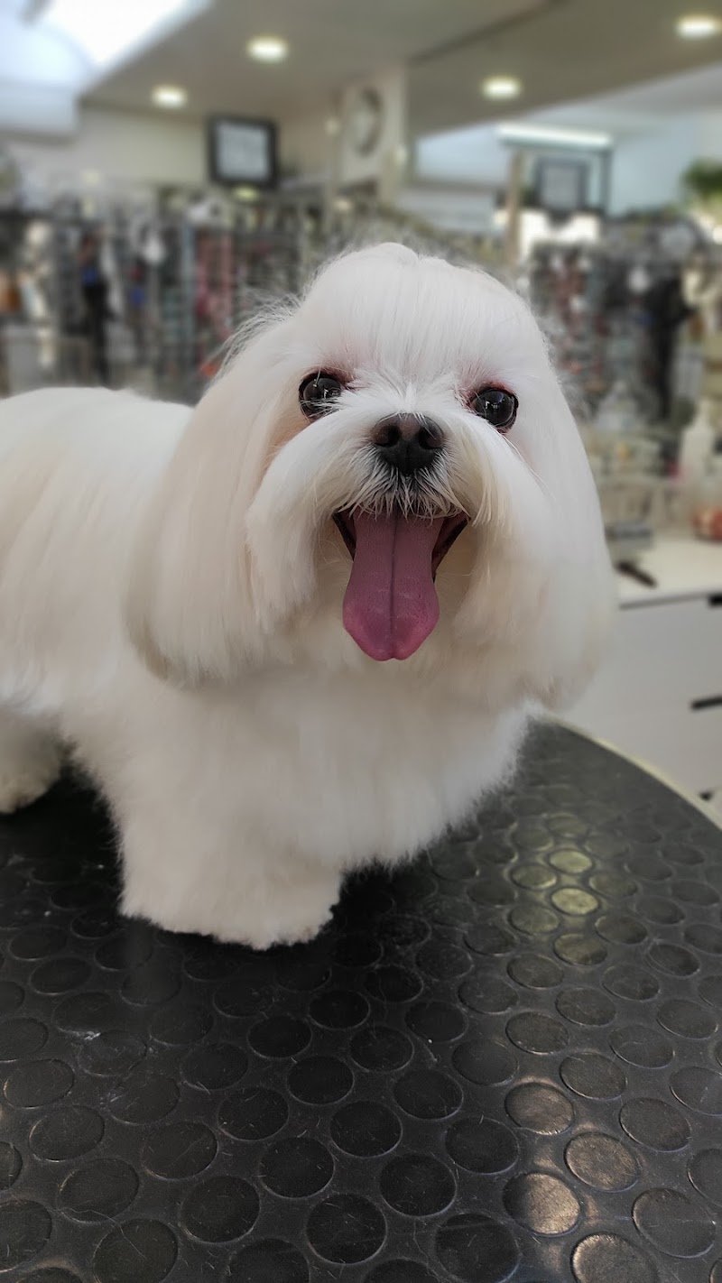 Pelomagia di Patrizia Morra - Foto 2