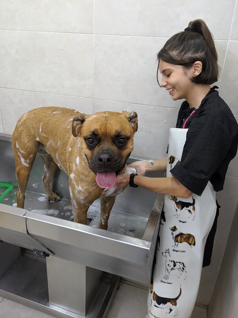 Pelomagia di Patrizia Morra - Foto 3