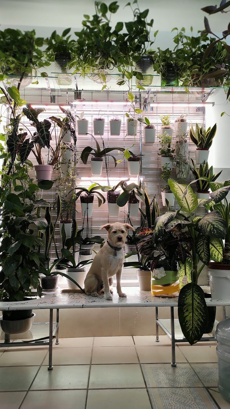 Pelomagia di Patrizia Morra - Foto 4