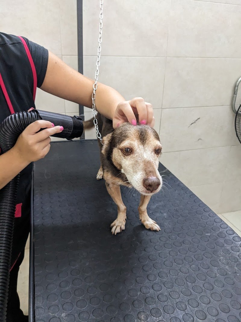 Pelomagia di Patrizia Morra - Foto 5