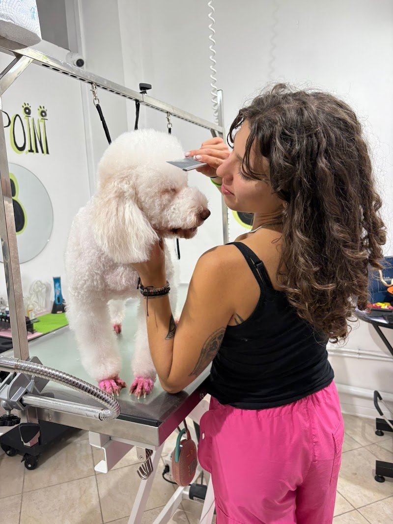 Pelosetti- toelettatura e spa - Foto 1