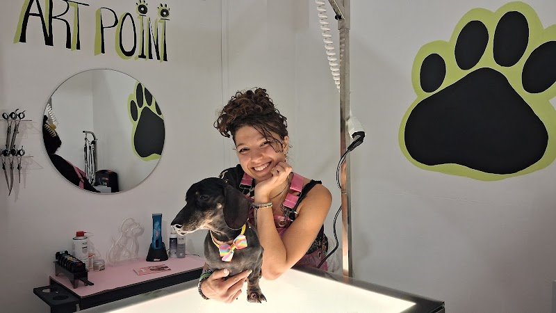 Pelosetti- toelettatura e spa - Foto 3