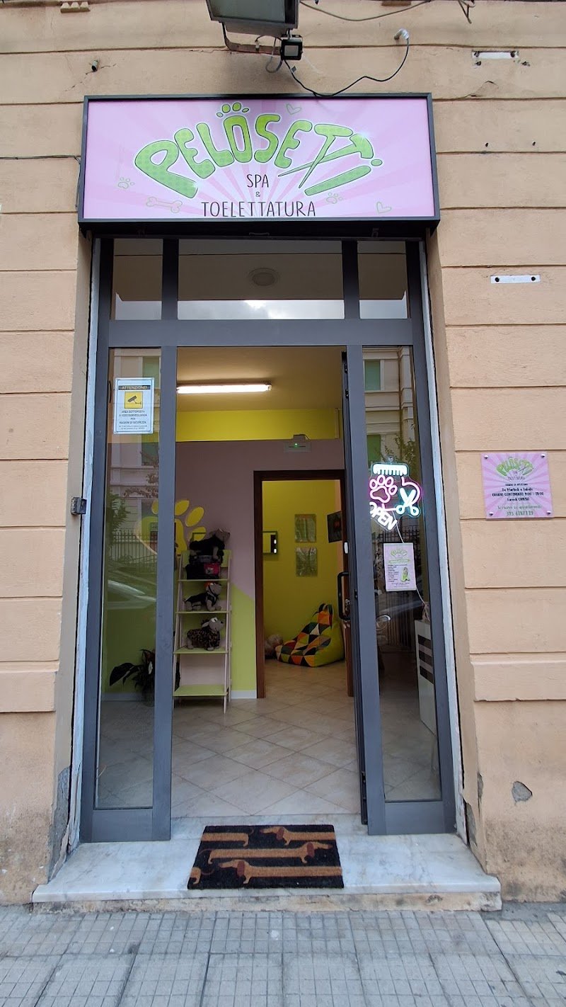 Pelosetti- toelettatura e spa - Foto 4