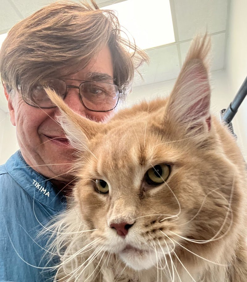 Pelosi e Contenti | Toelettatura Vicenza - Foto 1