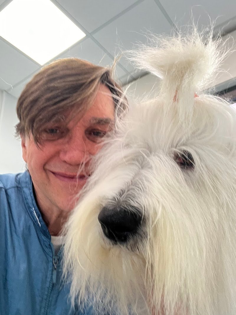 Pelosi e Contenti | Toelettatura Vicenza - Foto 2