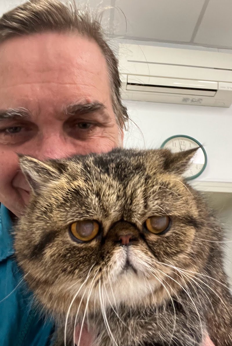 Pelosi e Contenti | Toelettatura Vicenza - Foto 5