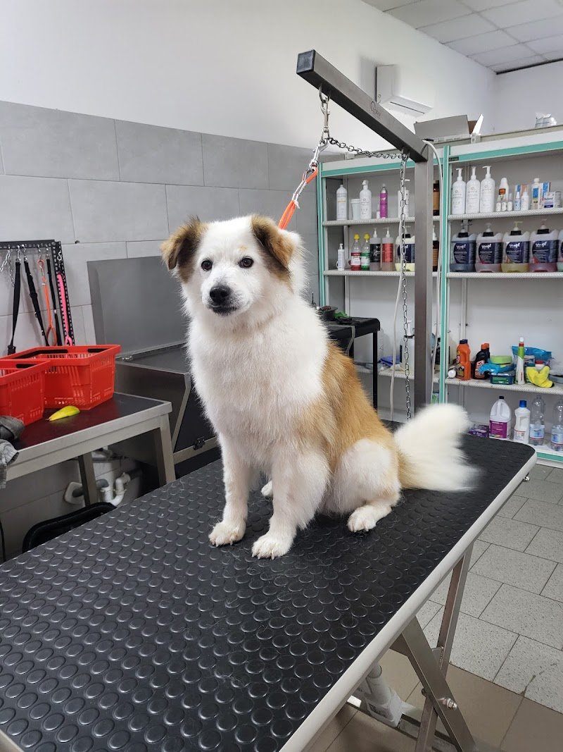 Pelosi ma non troppo - Foto 3