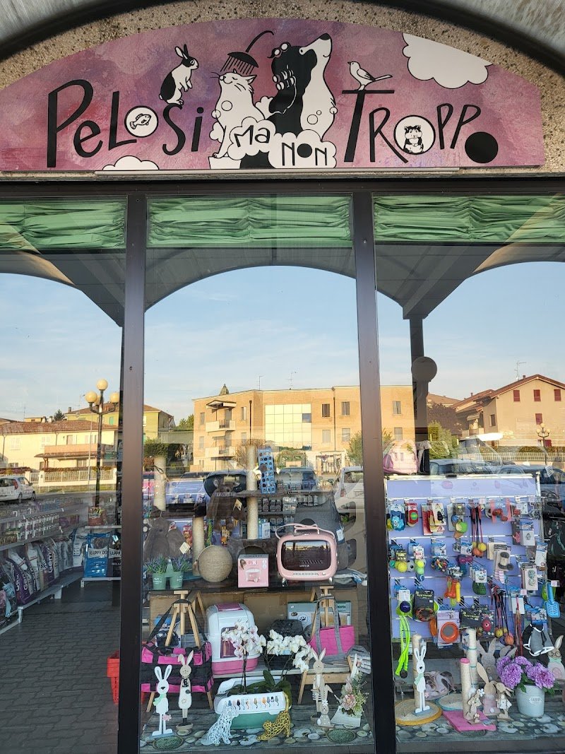 Pelosi ma non troppo - Foto 5