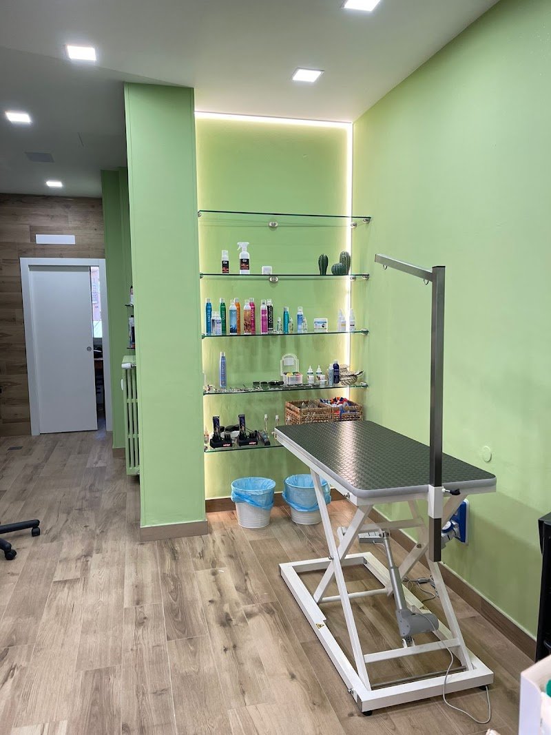 Pelosi Preziosi - Foto 1