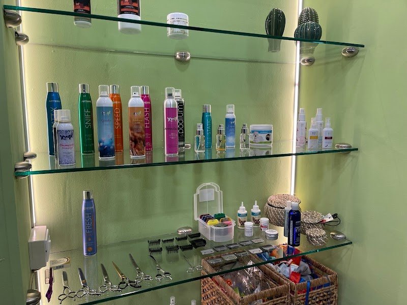 Pelosi Preziosi - Foto 2