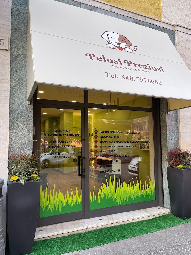 Pelosi Preziosi - Foto 3