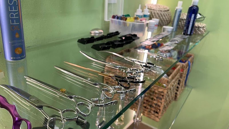 Pelosi Preziosi - Foto 4