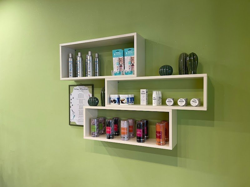 Pelosi Preziosi - Foto 6