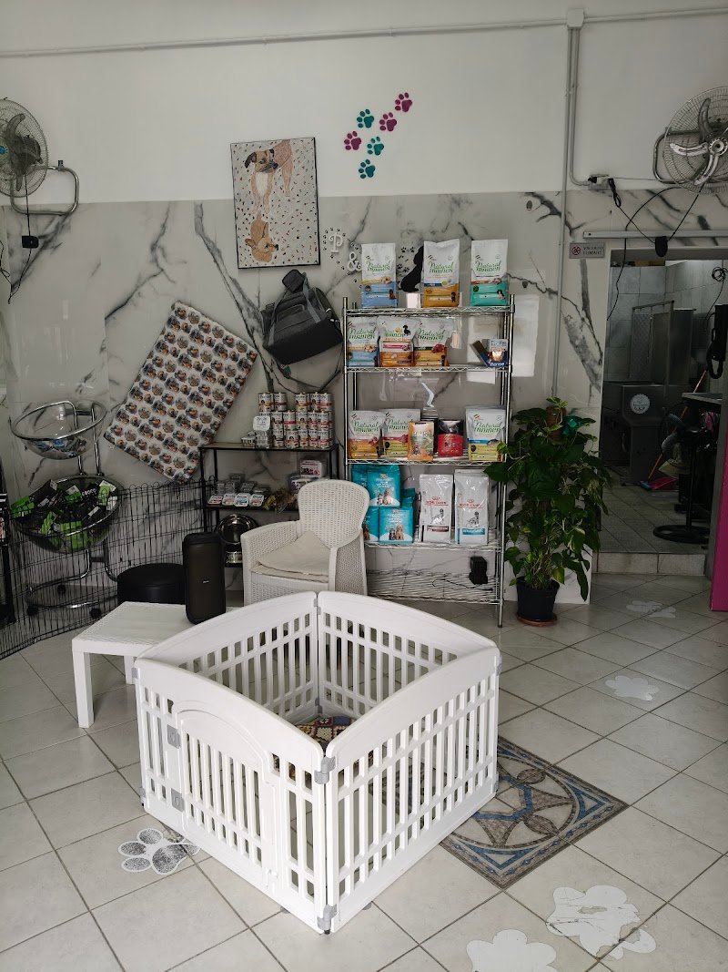 PELOSI&PROFUMATI TOELETTATURA - Foto 3