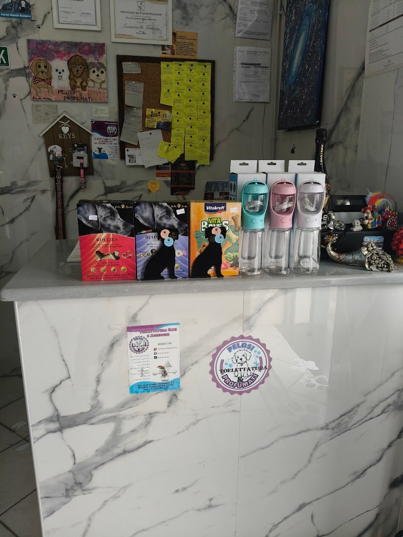 PELOSI&PROFUMATI TOELETTATURA - Foto 4