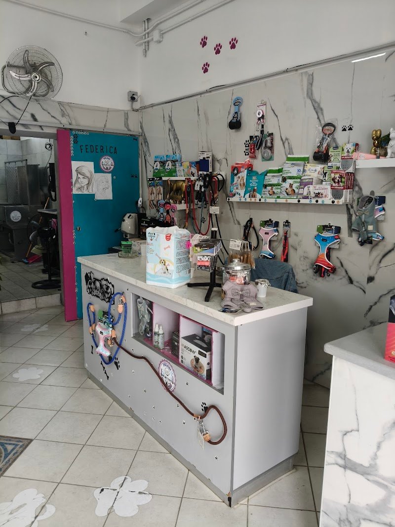 PELOSI&PROFUMATI TOELETTATURA - Foto 6