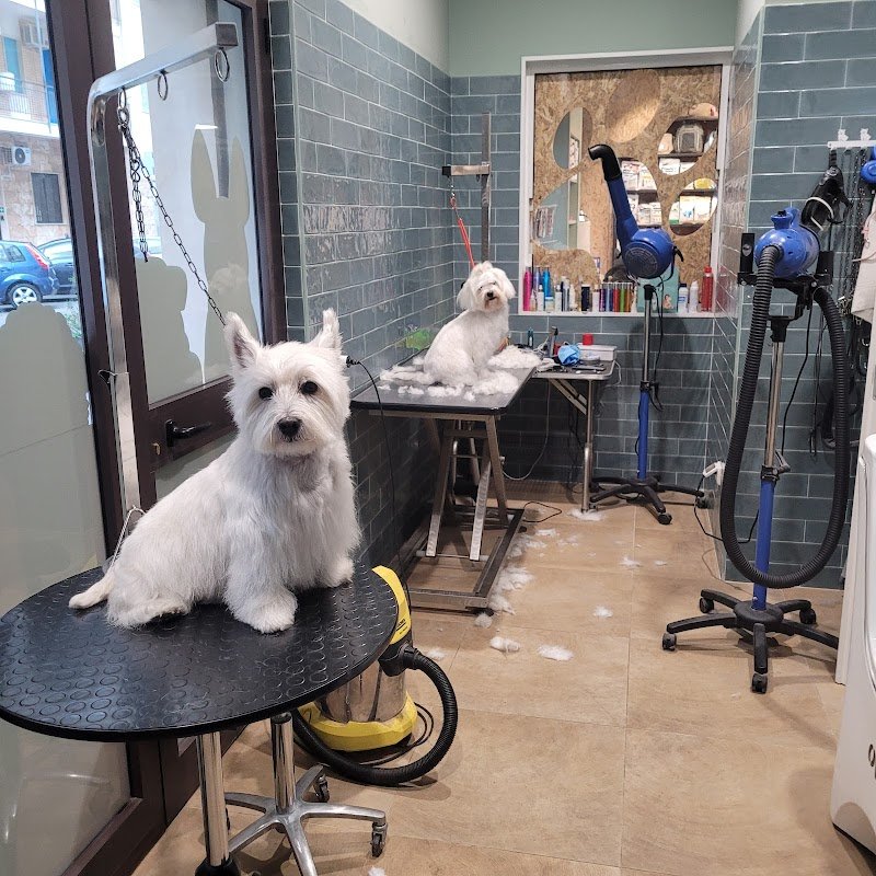 Pelú pet shop & Care - Foto 3