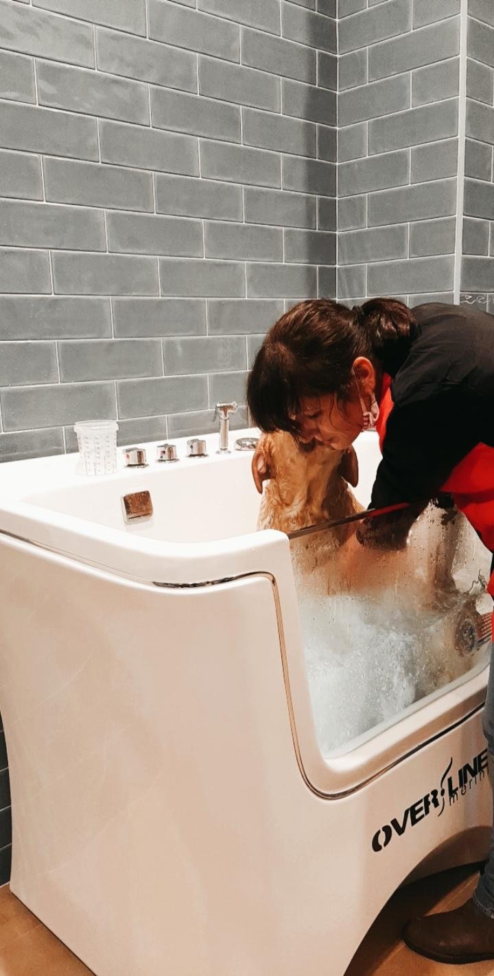 Pelú pet shop & Care - Foto 5