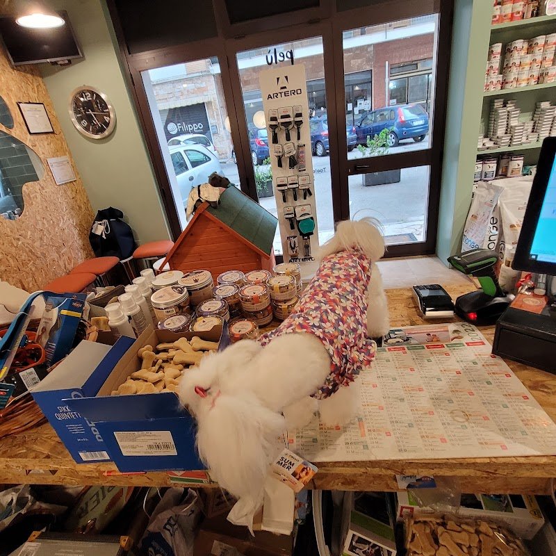 Pelú pet shop & Care - Foto 6