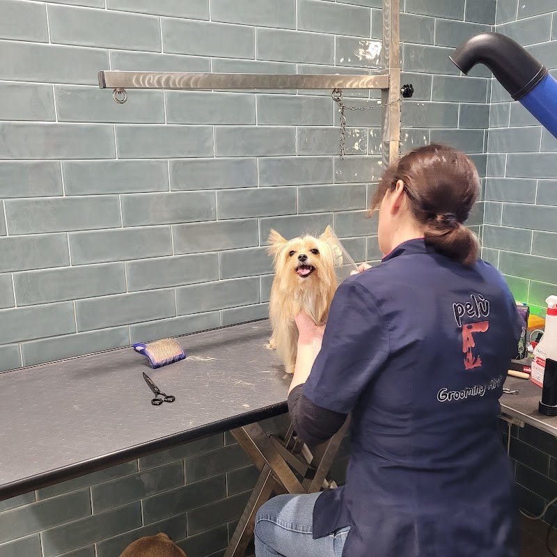 Pelú pet shop & Care - Foto 2