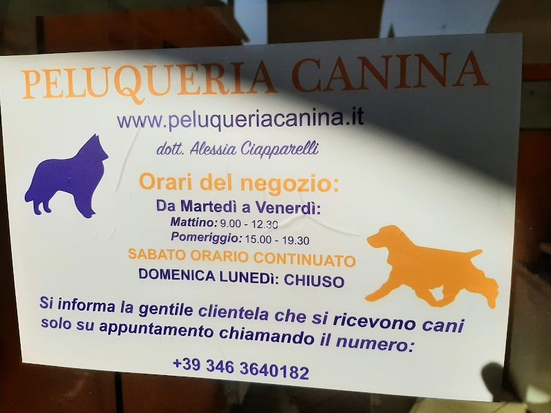 Peluqueria Canina - Foto 3