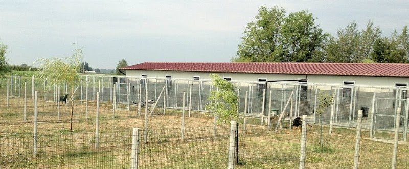 Pensione per cani Mondo Cane - Foto 1