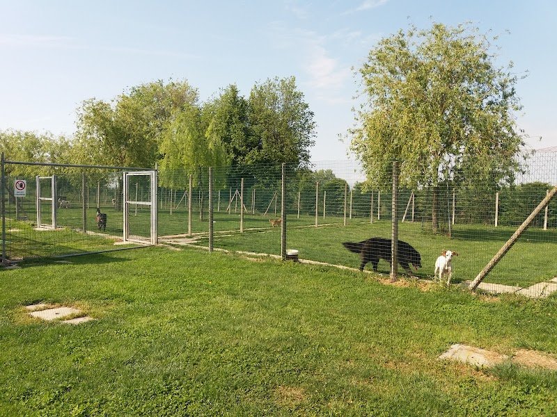 Pensione per cani Mondo Cane - Foto 2