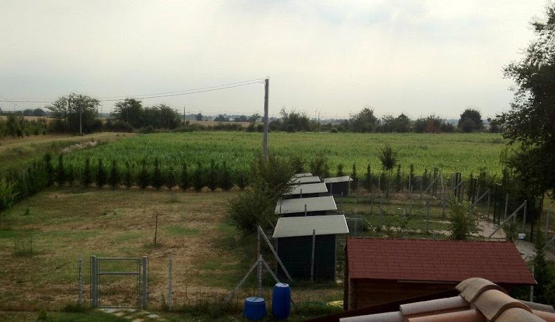 Pensione per cani Mondo Cane - Foto 3