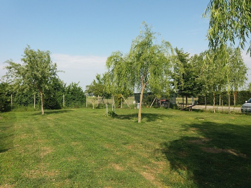 Pensione per cani Mondo Cane - Foto 4