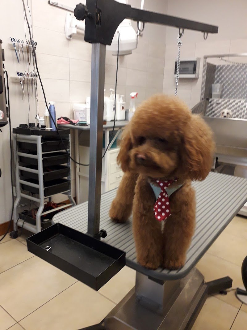 Per un Pelo - Foto 2