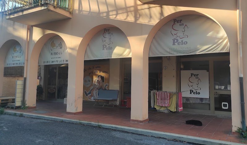 Per un Pelo - Foto 3