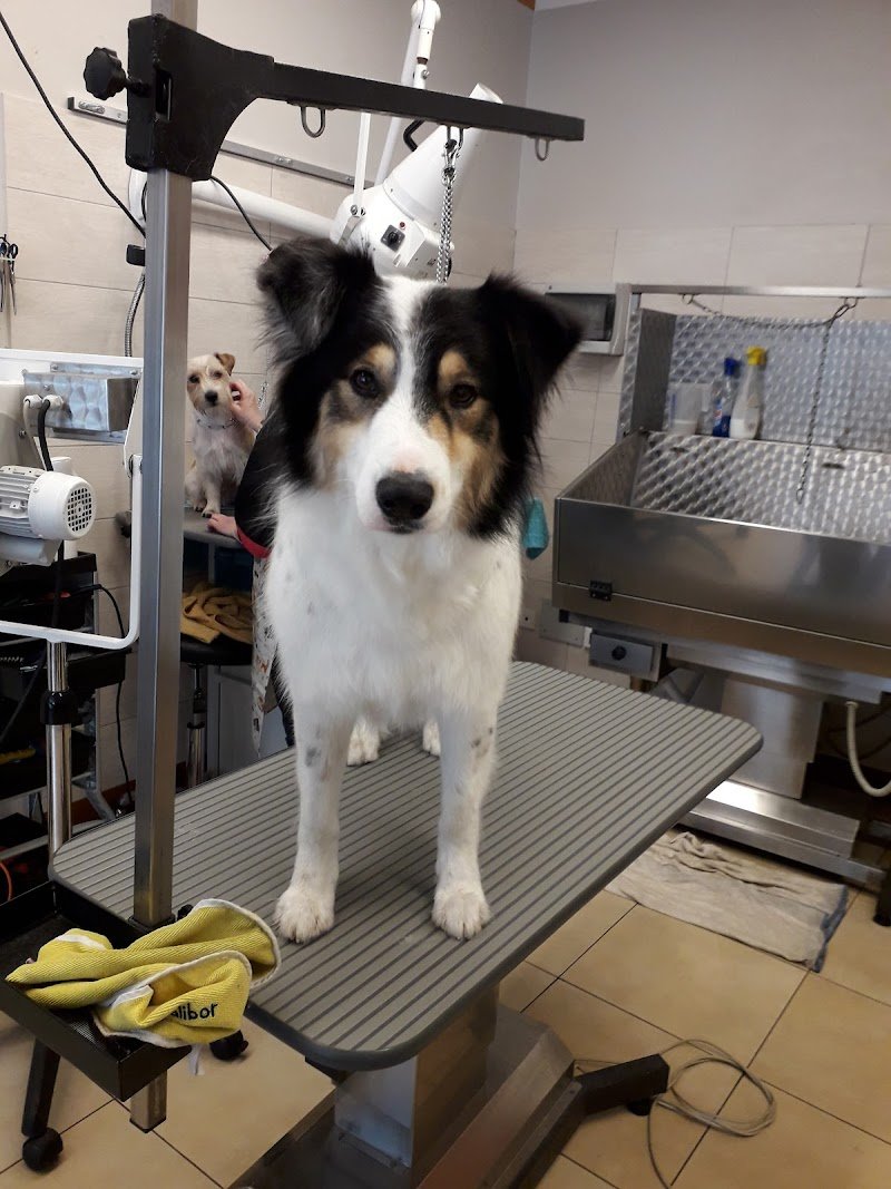 Per un Pelo - Foto 4