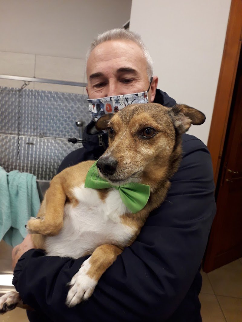 Per un Pelo - Foto 5