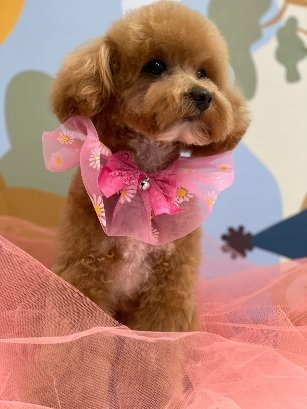 Per Un Pelo - Foto 1