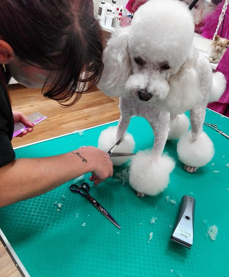 Per Un Pelo - Foto 2