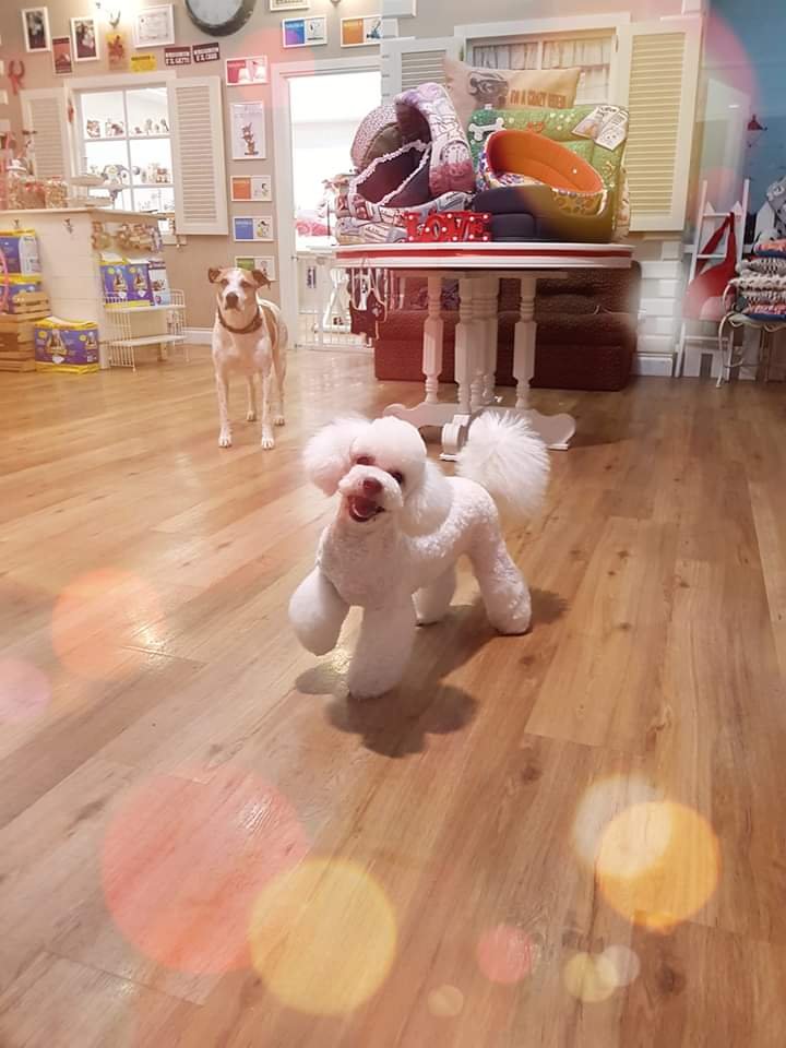 Per Un Pelo - Foto 6